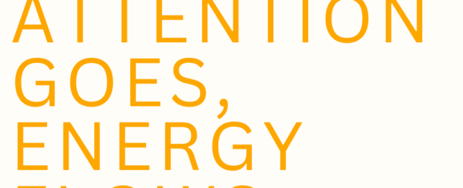 Where you thoughts go energy flows